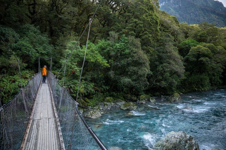 Full-Day Milford Sound Tour with Cruise and Walks from Te Anau