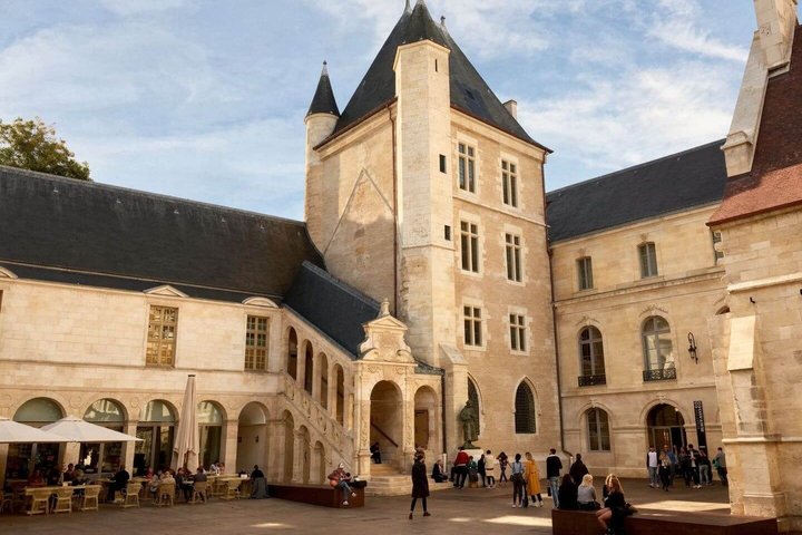 Hello Dijon: Private 2-Hour Intro City Walk with Local Guide