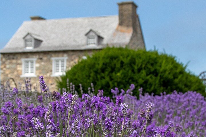 Louisbourg Fortress & Lighthouse Tour from Sydney Cape Breton