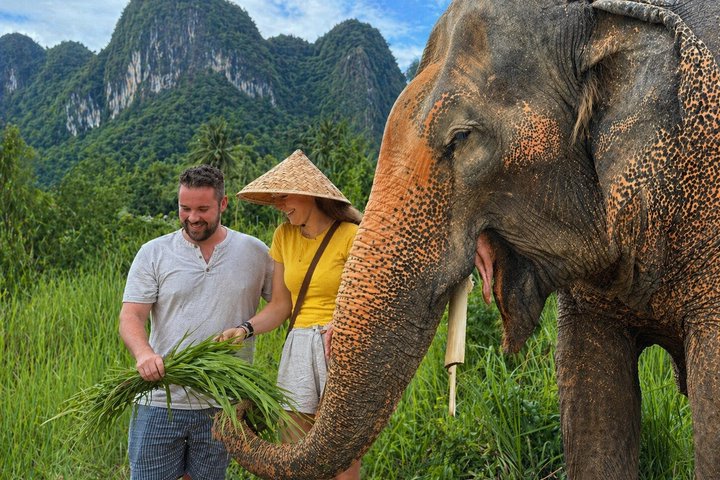 Koh Samui: Elephant Nature Care, the largest elephant sanctuary