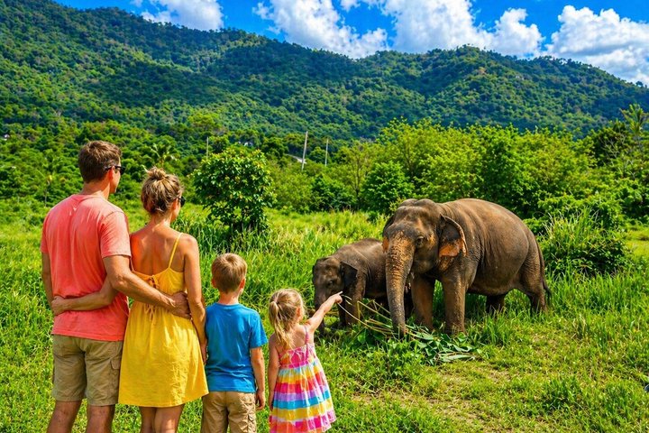 Koh Samui: Elephant Nature Care, the largest elephant sanctuary