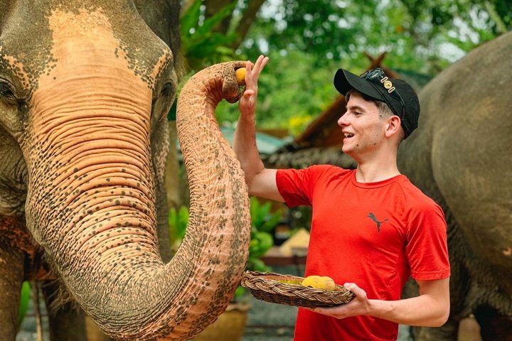 Koh Samui: Elephant Nature Care, the largest elephant sanctuary