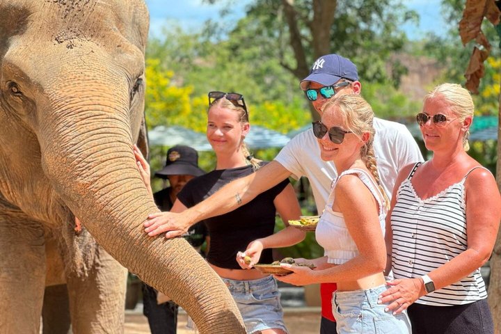 Koh Samui: Elephant Nature Care, the largest elephant sanctuary