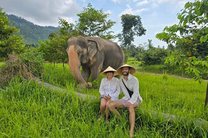 Koh Samui: Elephant Nature Care, the largest elephant sanctuary