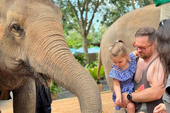 Koh Samui: Elephant Nature Care, the largest elephant sanctuary