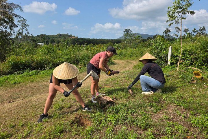 Koh Samui: Elephant Nature Care, the largest elephant sanctuary