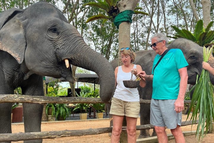Koh Samui: Elephant Nature Care, the largest elephant sanctuary
