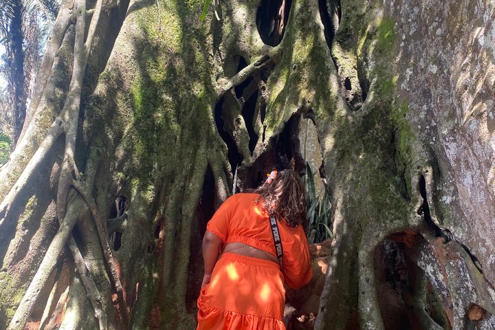 Aburi Gardens,First Ever Cocoa Farm & Waterfalls Day Adventure