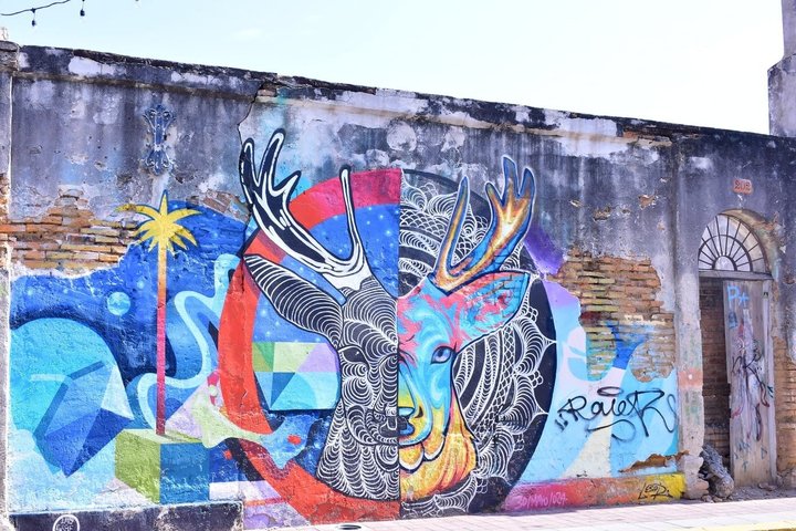 Mazatlán Shared City Tour by Red Truck History and Flavors