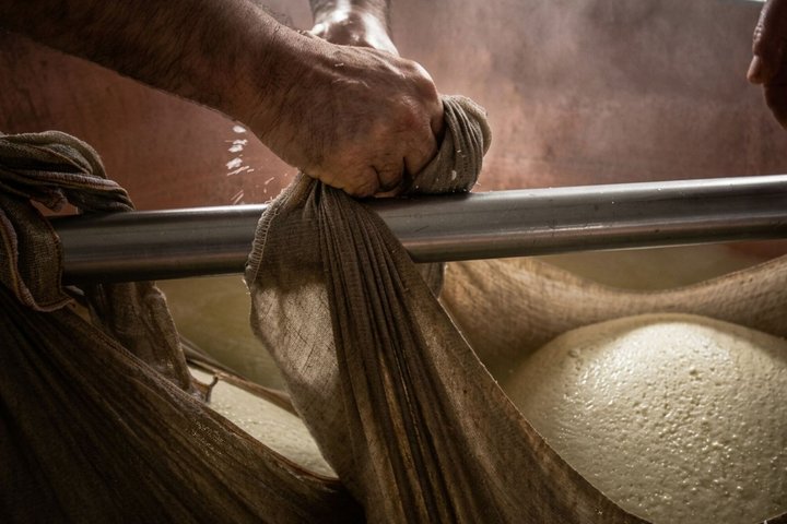 From Milk to Wheels: Parmesan Tour and Tasting in Parma