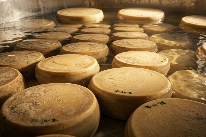 From Milk to Wheels: Parmesan Tour and Tasting in Parma