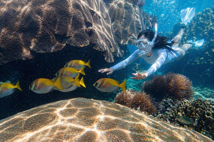 Koh Samui: Koh Tao & Koh Nang Yuan Snorkeling Tour by Speed Boat