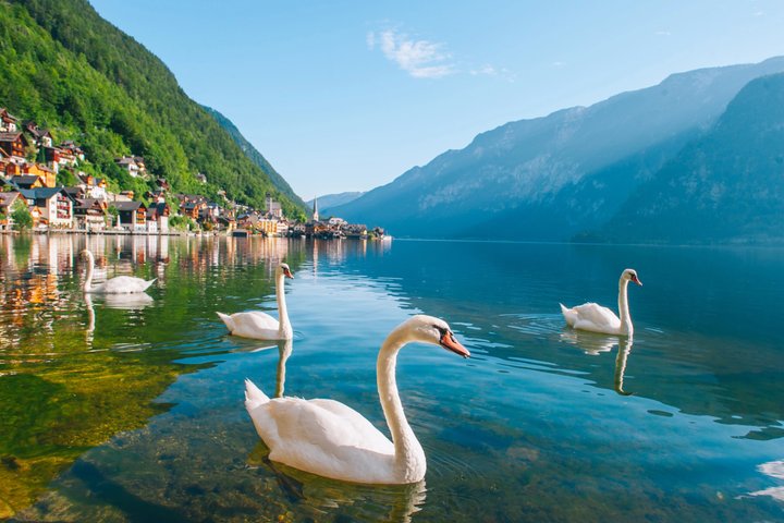 Hallstatt Guided Day Trip from Vienna With Boat Ride Option