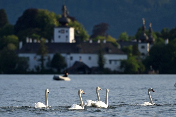 Hallstatt Guided Day Trip from Vienna With Boat Ride Option