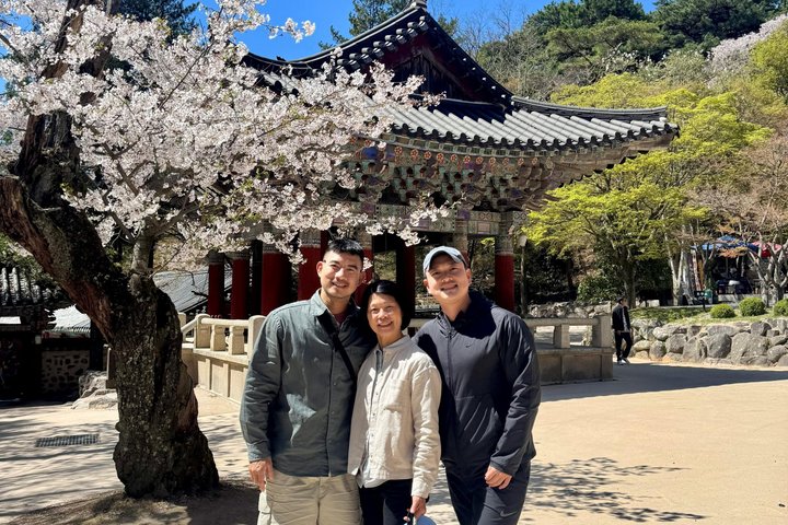 Private Gyeongju UNESCO Tour with local - Starts in Gyeongju