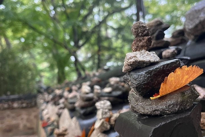 Private Gyeongju UNESCO Tour with local - Starts in Gyeongju