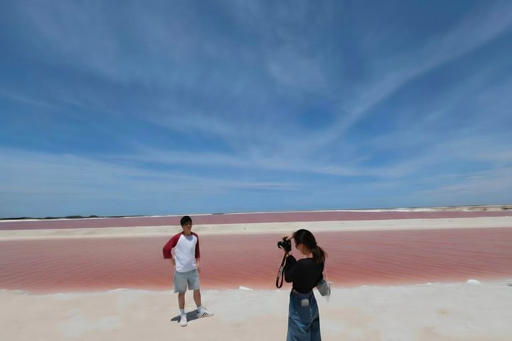 Nature Tour in Rio Lizards: Crocodiles and Flamingos