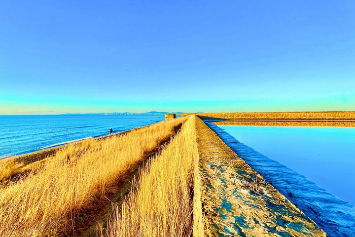 Salt Lakes and Mud Baths Excursion from Sunny Beach