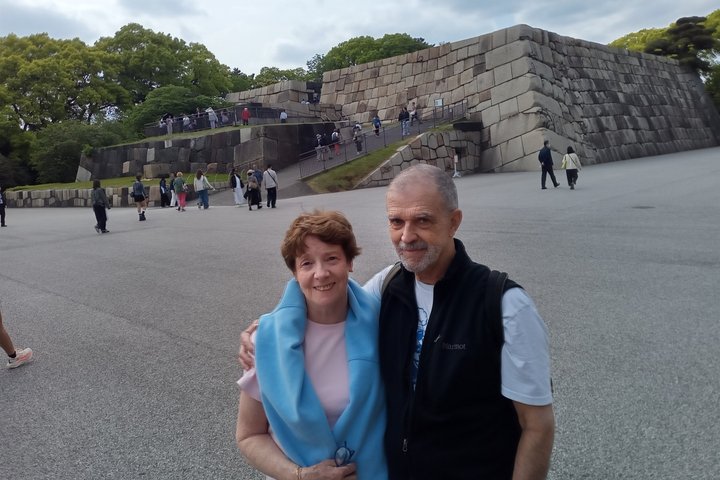 Best of Tokyo Private Tour from Yokohama & Tokyo Ports or Hotels