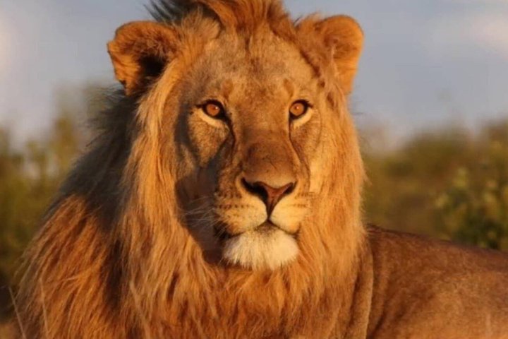 3 Day Garden Route Private Safari from Cape Town