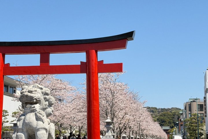 Half-Day Private & Customizable Tour with Kamakura-Born Guide