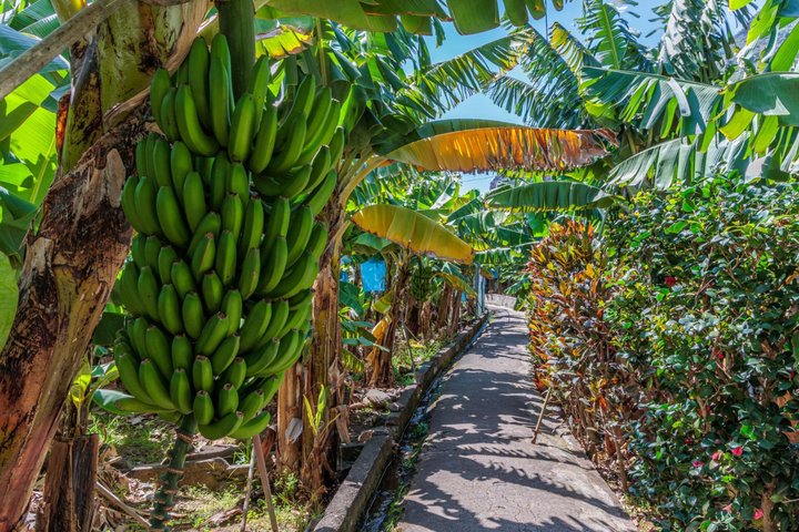 Around The Island - Two Days Tour From 9am To 5pm (Each Day)
