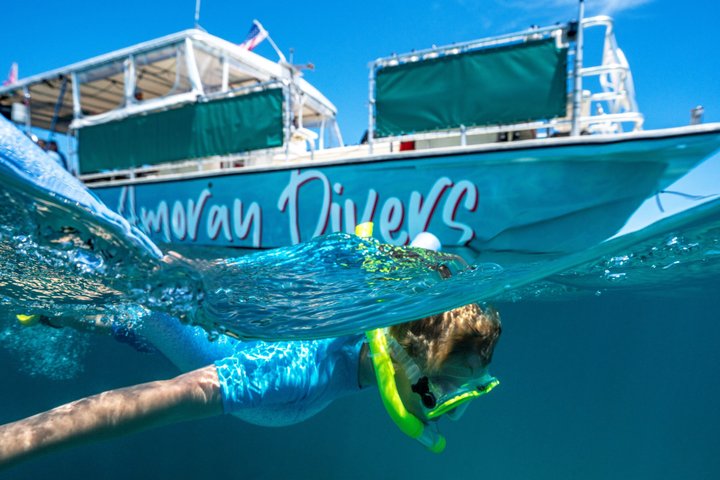 Key Largo Snorkeling Trip to the Florida Reef (Boat Tour)