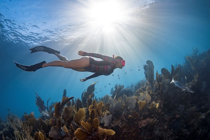Key Largo Snorkeling Trip to the Florida Reef (Boat Tour)