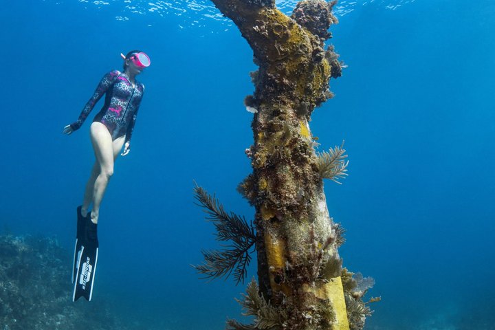 Key Largo Snorkeling Trip to the Florida Reef (Boat Tour)