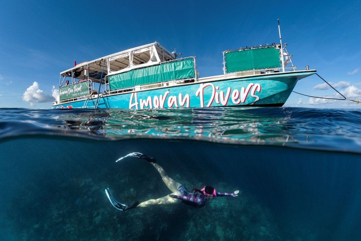 Key Largo Snorkeling Trip to the Florida Reef (Boat Tour)