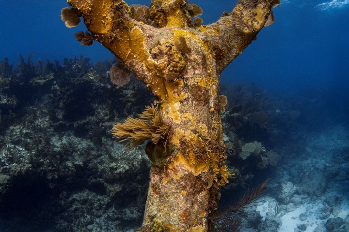 Key Largo Snorkeling Trip to the Florida Reef (Boat Tour)