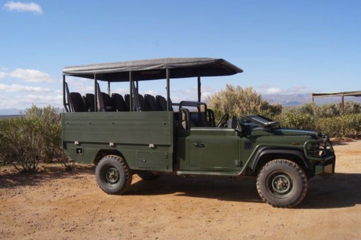 3 Day Garden Route Private Safari from Cape Town