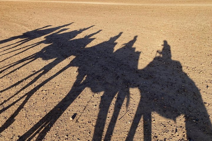 Agafay Sunset Camel Ride and Dinner Show