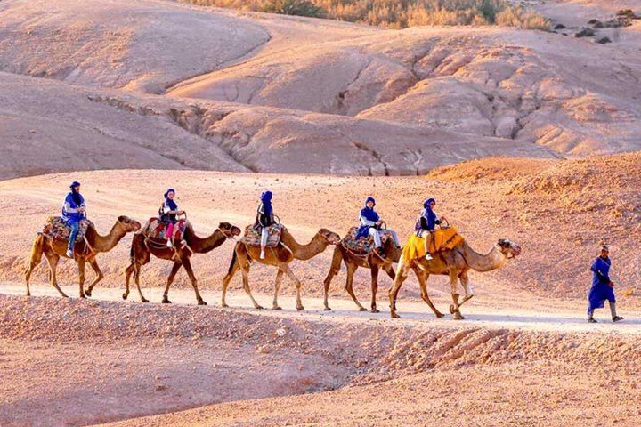 Agafay Sunset Camel Ride and Dinner Show