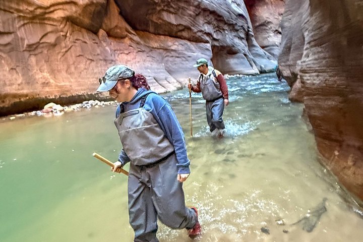 Private Narrows Hike at Zion National Park (Discounts Groups 4+)