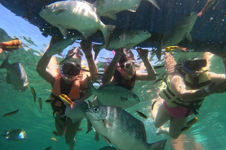 Half-Day Snorkeling Tour at Ixtapa Zihuatanejo with Lunch