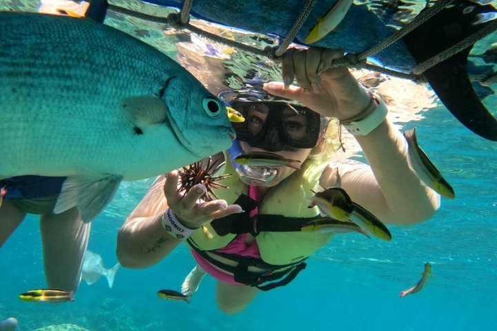 Half-Day Snorkeling Tour at Ixtapa Zihuatanejo with Lunch