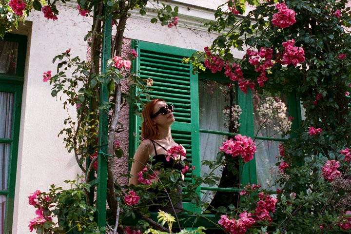 Giverny and Impressionism Private Tour