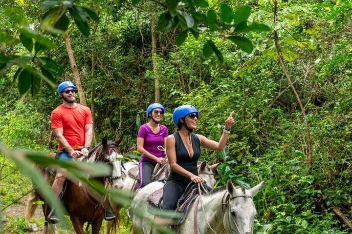 Samaná Horseback Riding Best El Limón Waterfall and Morón Beach