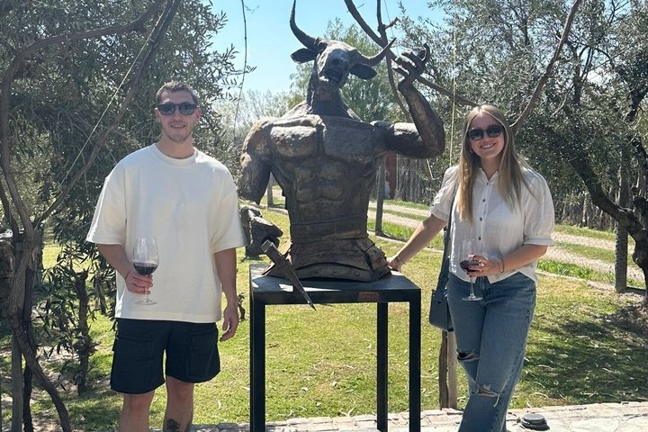 Casa Vigil (the enemy) + 2 wineries + Olivicola
