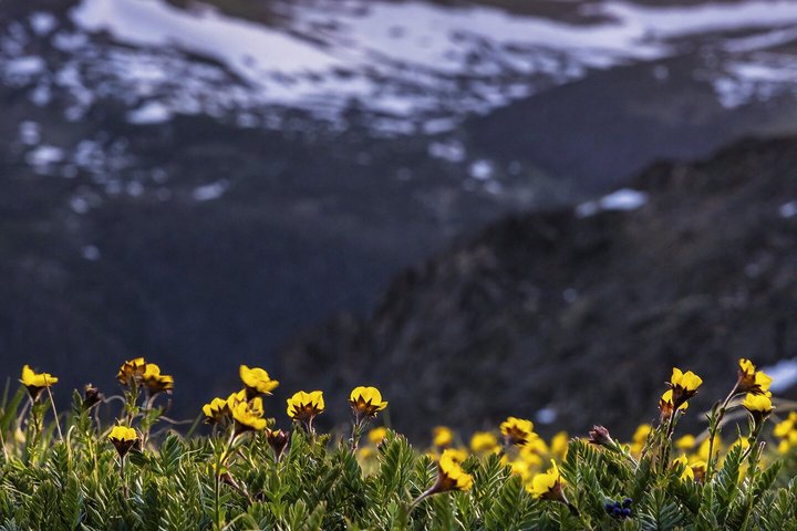Sunset and Night Photography Tour on Trail Ridge Road