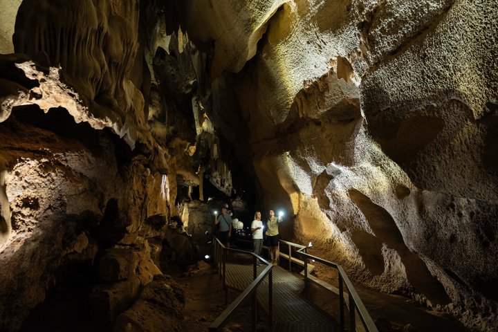 Cutta Cutta Caves Nature Park Guided Tours