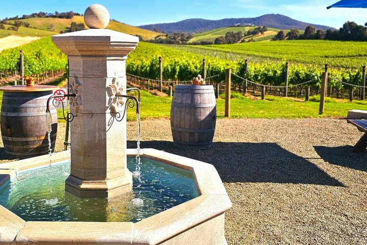 Yarra Valley Half-Day Winery Tour from Melbourne with Small Group