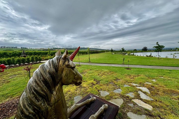 Yarra Valley Half-Day Winery Tour from Melbourne with Small Group