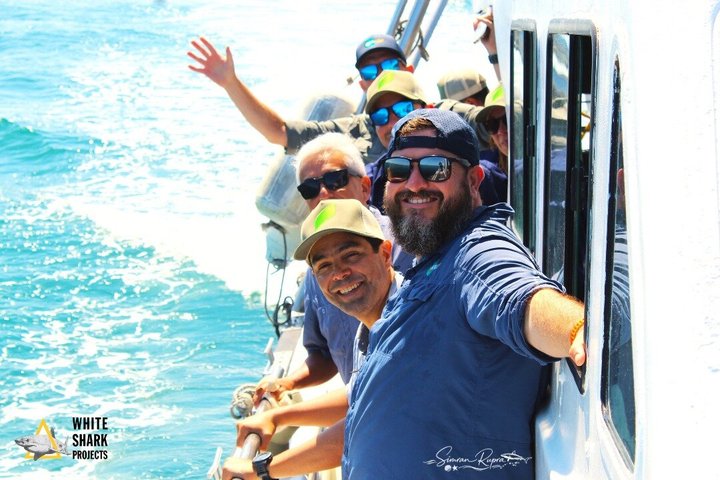 Half-Day White Shark Cage Diving from Gansbaai
