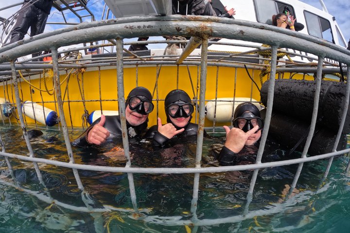 Half-Day White Shark Cage Diving from Gansbaai