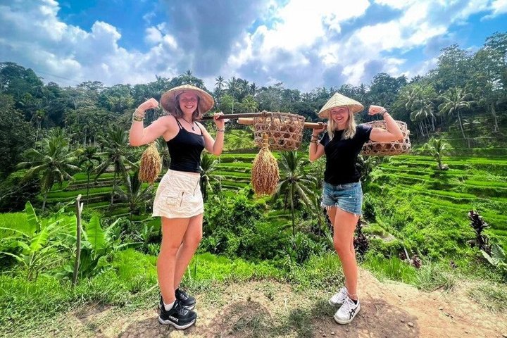 Ubud: Monkey Forest, Jungle Swing, Rice Terrace and Water Temple