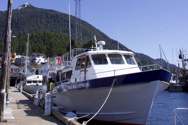 Wildlife Viewing, Sightseeing and Whale Watching Quest