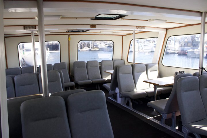 Wildlife Viewing, Sightseeing and Whale Watching Quest