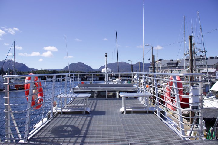 Wildlife Viewing, Sightseeing and Whale Watching Quest